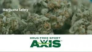 Single User Cannabis Education Video