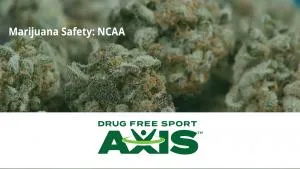 NCAA Single User Cannabis Education Video